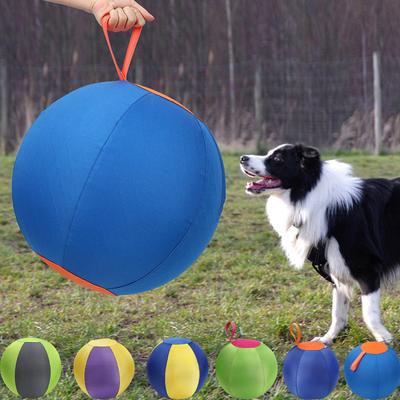 Köpek – Köpek oyuncakları
