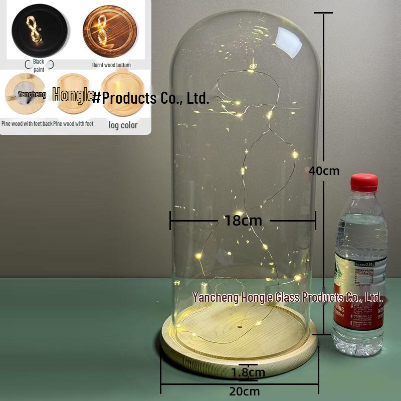 Luminous Sea Urchin Glass Dome with Preserved Flowers and String Lights