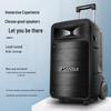 SANSUI Portable KTV Bluetooth Trolley Speaker