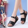 Fashion Women Sandals Wedge Heels Sandals Summer Shoes For Women Elegant Heeled Sandalias Mujer Summer Footwear Female Wedges Shoes New