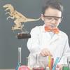 Diy Wooden Tyrannosaurus Rex Educational Science Craft Kit For Kids Hands-on Learning J-22 Material Pack