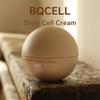 [BQCELL] Lipotox Core Cream 50g/Stammzellencreme