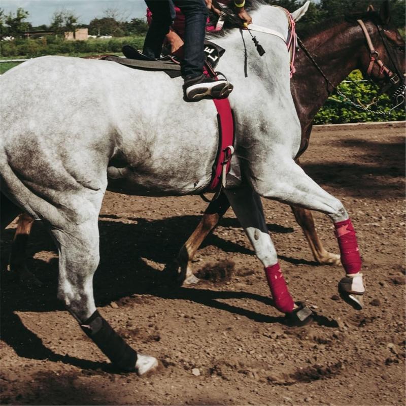 Breathable Fleece Lined Horse Leg Wrap For Riding And Cold Weather Protections