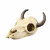 Lifelike 3D Skull Reptile Cave Hollow Out Reptile Climbing Shelter  Water Grass Landscape