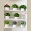 Artificial Plant with Plastic Pot Mini Bonsai Potted Plant Small Tree Simulation Pot Plants for Home Office Bedroom Decor