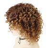 GNIMEGIL Syntetické krátké paruky pro ženy Ombre Hnědá Afro Kinky Kudrnatá Paruka Dámský Cosplay Halloween Denní použití Party Kostým Dárky