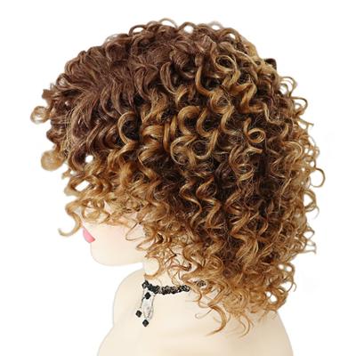 GNIMEGIL Synthetic Short Wigs for Women Ombre Brown Afro Kinky Curly Wig Female Cosplay Halloween Daily Use Party Costume Gifts