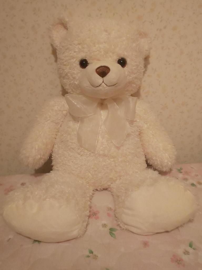 [USED] TEDDY BEAR SHOP Nagoya Akashimaya Teddy Bear