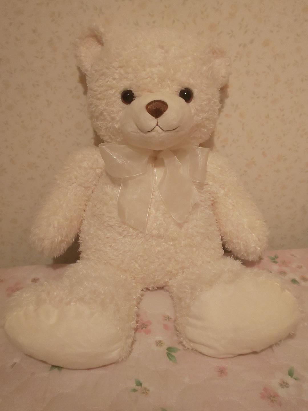 

[USED] TEDDY BEAR SHOP Nagoya Akashimaya Teddy Bear