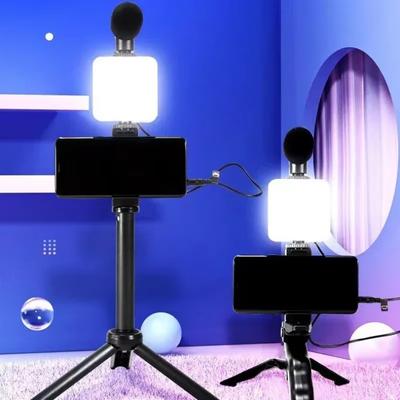 Portable Desktop Simple Phone Holder Live Streaming Microphone Tripod Kit LED Fill Light for All Smartphone Live Record Mount