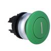 M22-DP--X1 mushroom button green with description