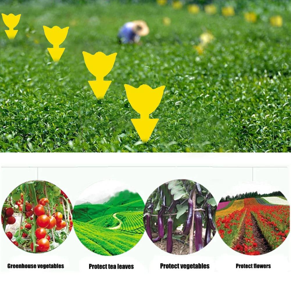 100-10pcs Dual-Sided Insect Mosquito Sticky Trap For Garden Insect Killer Whitefly Thrip Fruit Fly Gnat Waterproof Sticky Board
