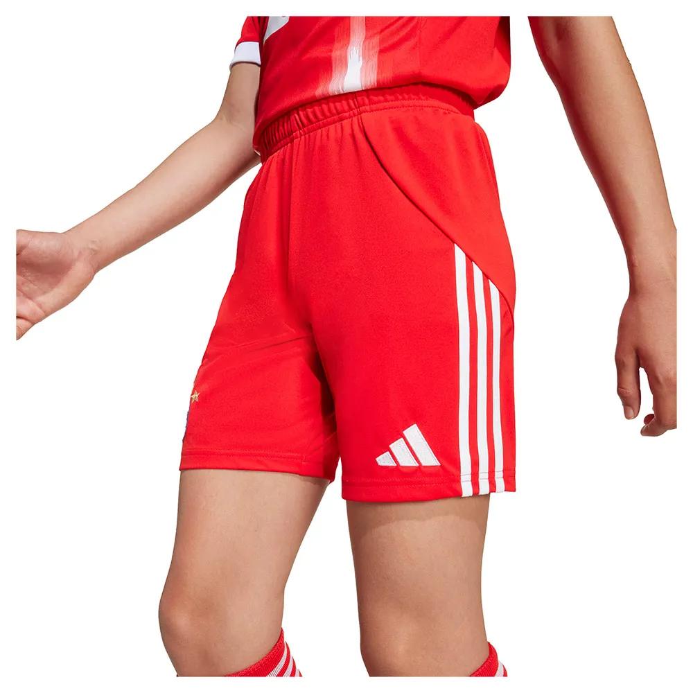Adidas Pantalón Corto Primera Equipación Fc Bayern 25/26 Shorts Red