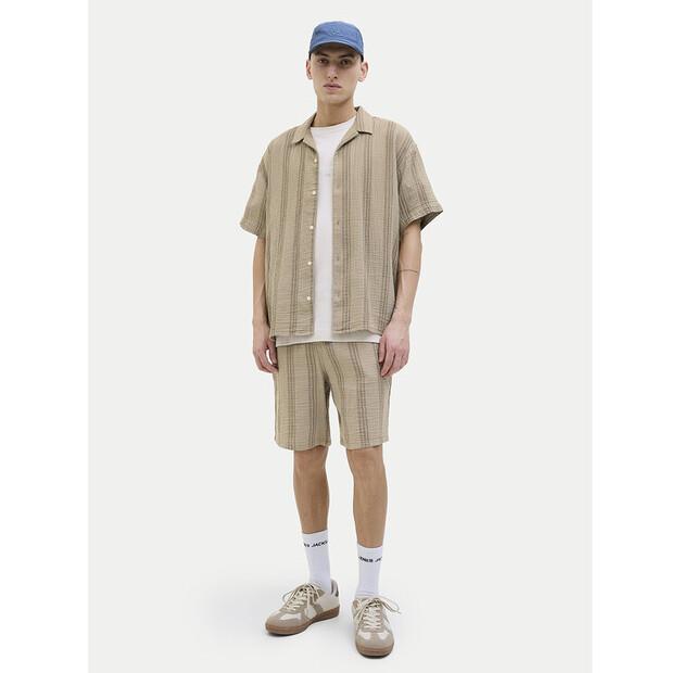 Jack & Jones Jaiden Shorts