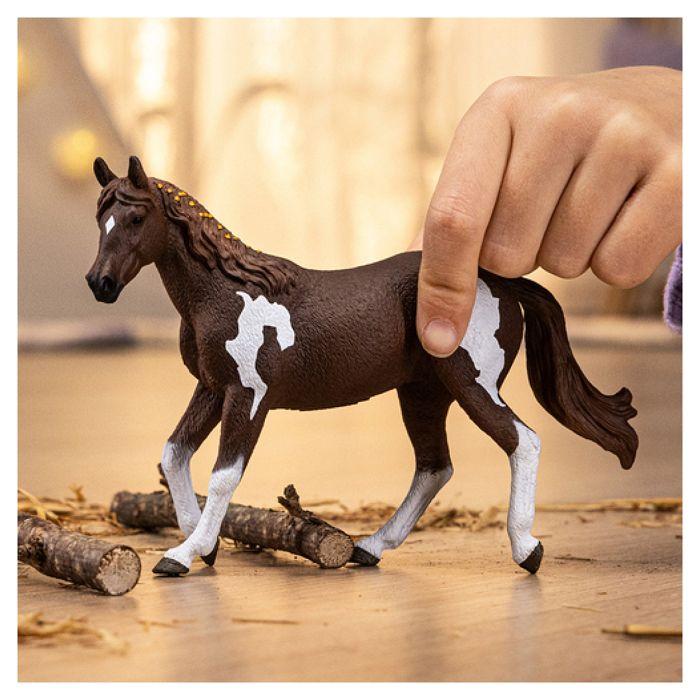 Figurine - schleich - jument paint - multicolore - pour enfants à partir de 5 ans - mixte