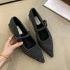 Fashion Pointed Single Shoe Women's Spring New Style French Thick Heel Shallow Mouth Shoes Elegant Low Heel Women's Shoes