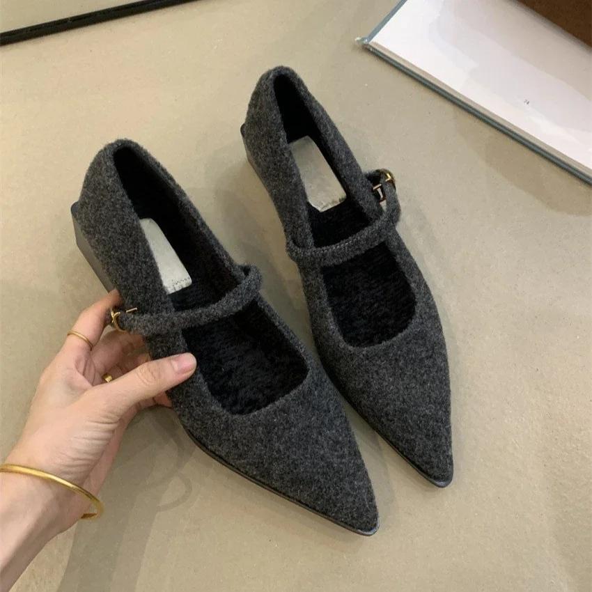 Fashion Pointed Single Shoe Women's Spring New Style French Thick Heel Shallow Mouth Shoes Elegant Low Heel Women's Shoes
