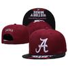Factory direct sales NCAA Baseball cap with three-dimensional embroidery, flat brim, hip-hop style, sun-shading, adjustable