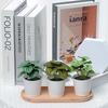 INS Style Small Artificial Grass Plant Ornaments for Indoor Decoration and Flower Display