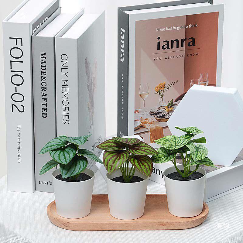 INS Style Small Artificial Grass Plant Ornaments for Indoor Decoration and Flower Display