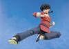 TAMASHII NATIONS Ranma Saotome Ranma 140mm PVC ABS Painted Action Figure S.H.Figuarts 1/2 Approx. &