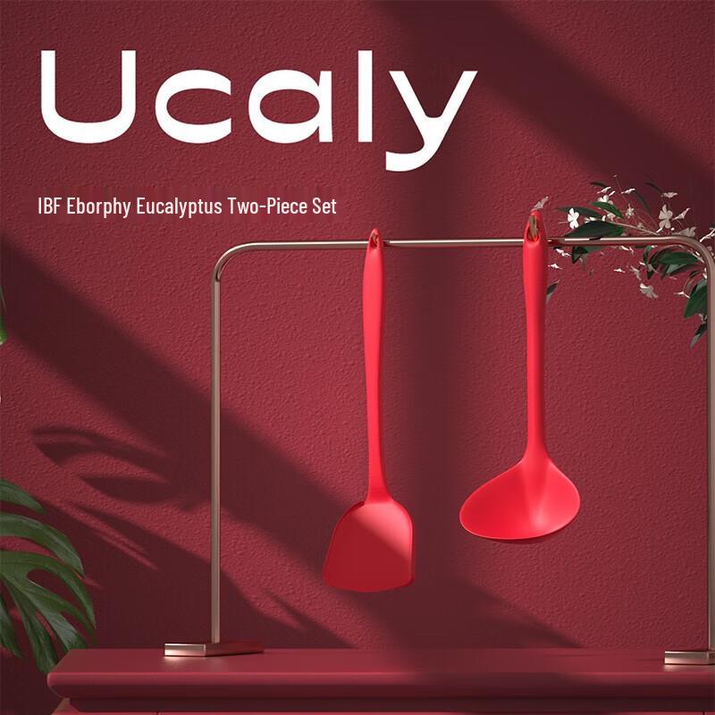 Aibofei Eucalyptus Spatula and Spoon Set