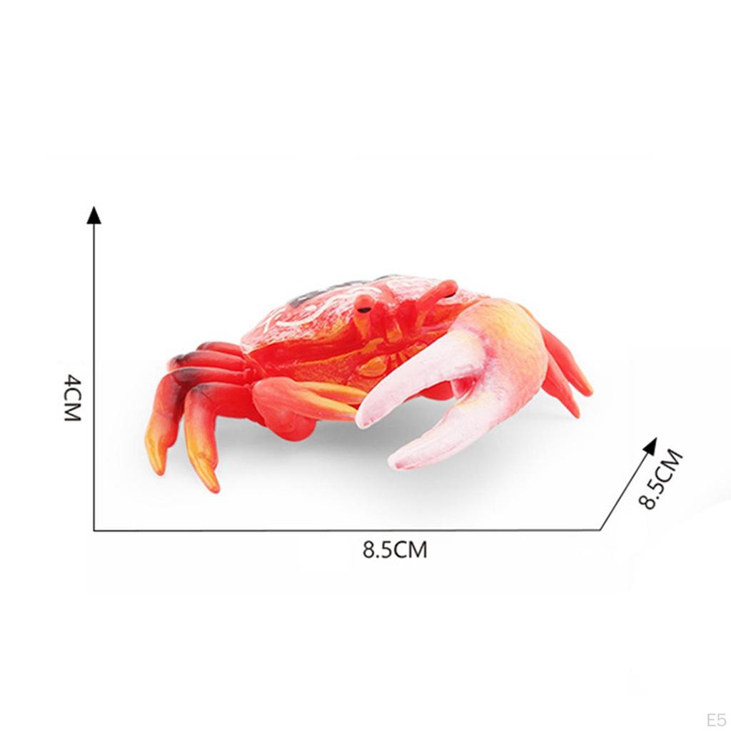 Hand Painted Mini Crab Figurines Model Realistic Detailed Action Figures for Children Kids