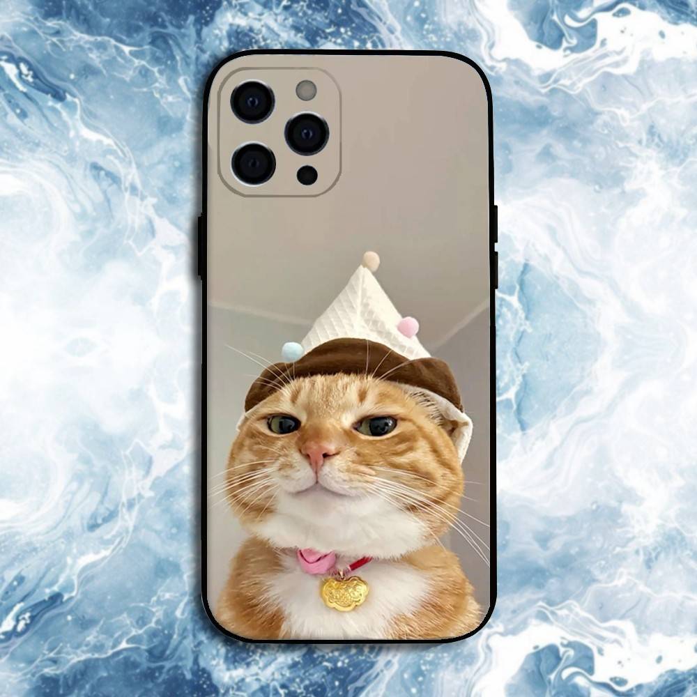 Pet Cat Funny memes Phone Case For iPhone17,16,15,14,13,12,11 Plus,Pro Max, Soft Silicone Black Cover