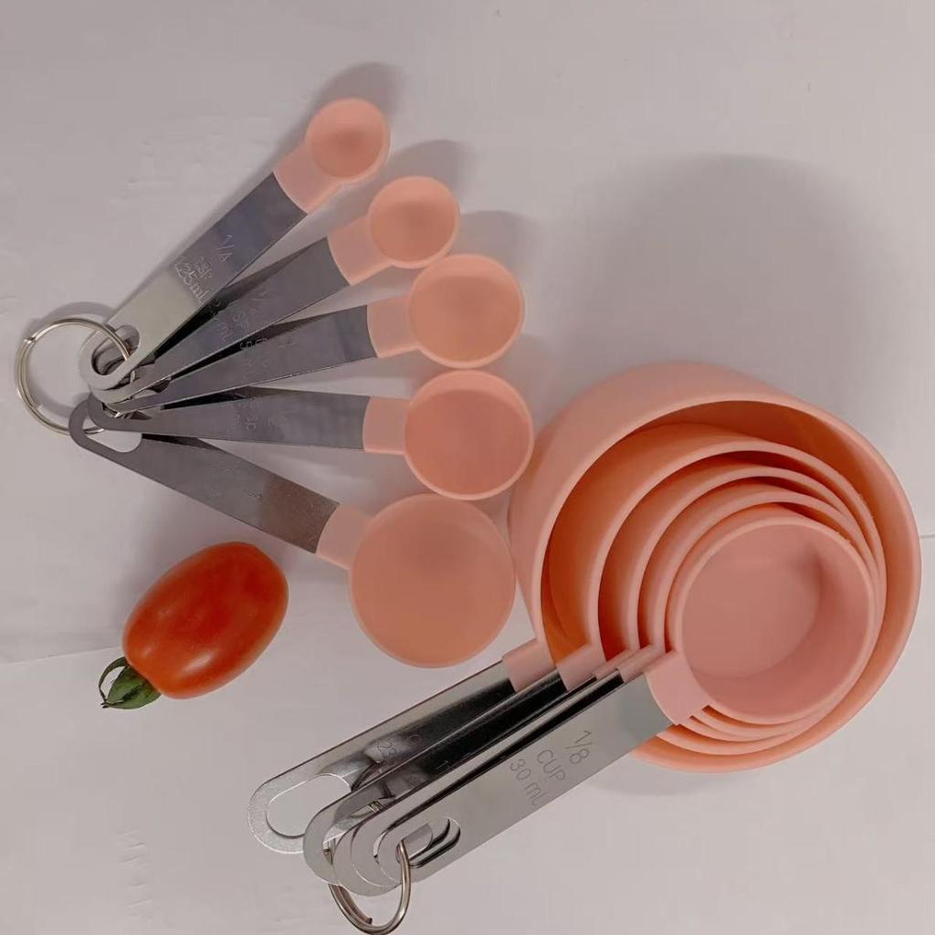 10-Piece Stainless Steel & Plastic Measuring Cup and Spoon Set for Baking and Cooking