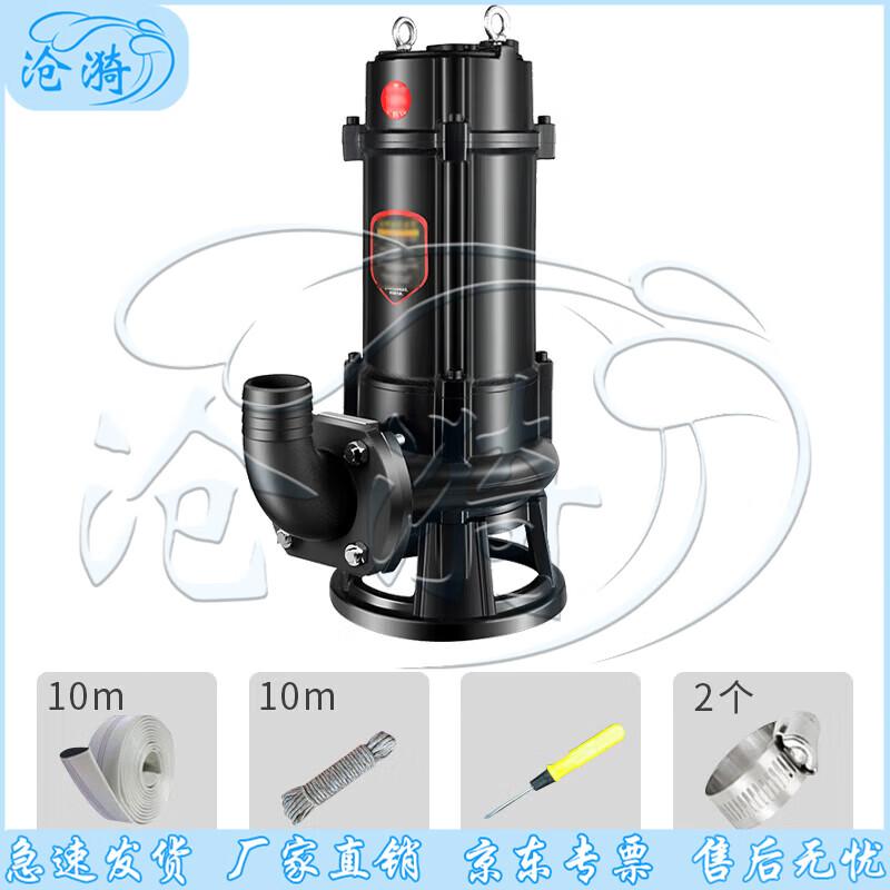 Cangyi Emergency Industrial Drainage Pump
