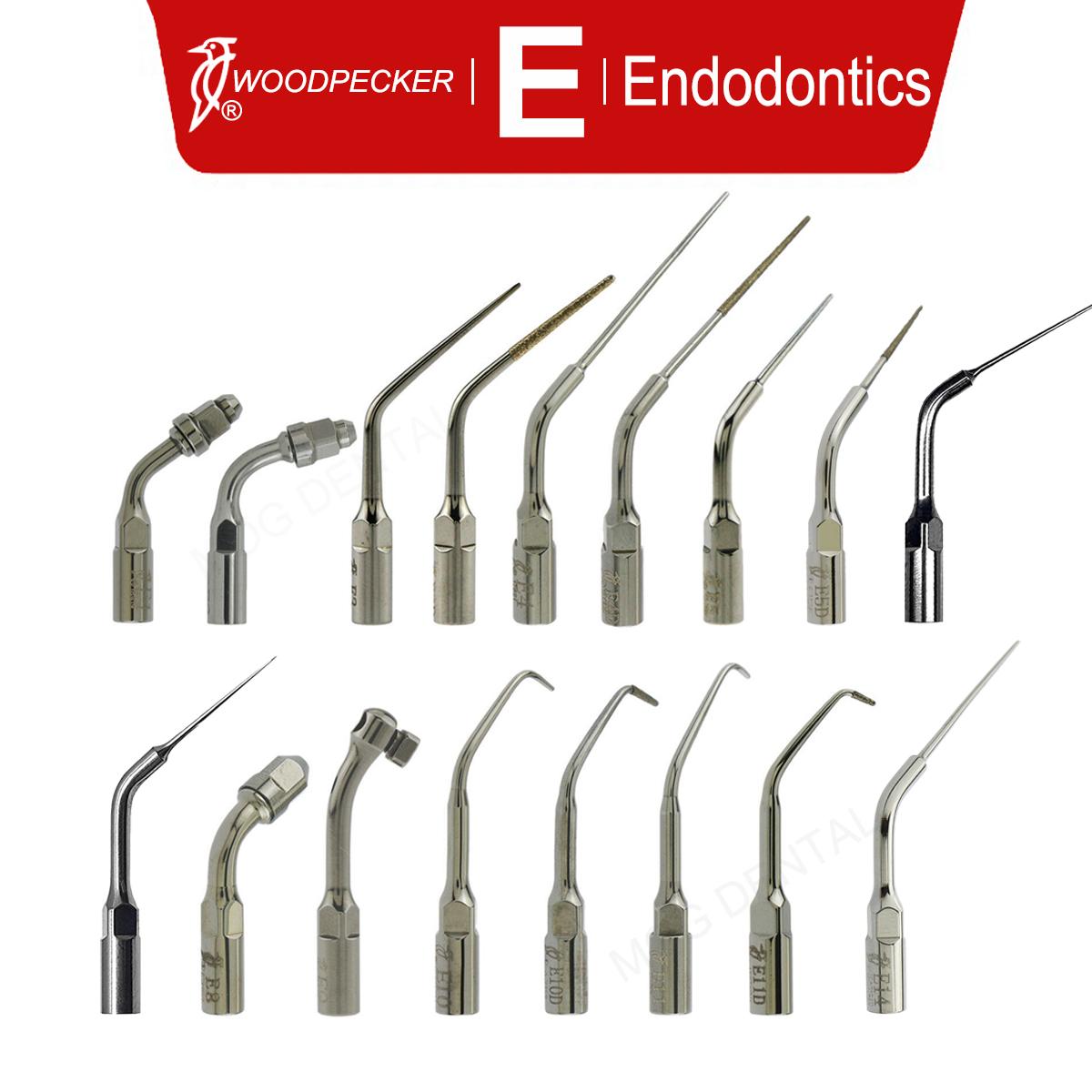 Punte per Scaler Periodontale Ultrasonico Dentale Woodpecker Strumenti per Dentisti Canalare Endodonzia Serie E Adatte per Manipolo Scaler Ems Uds