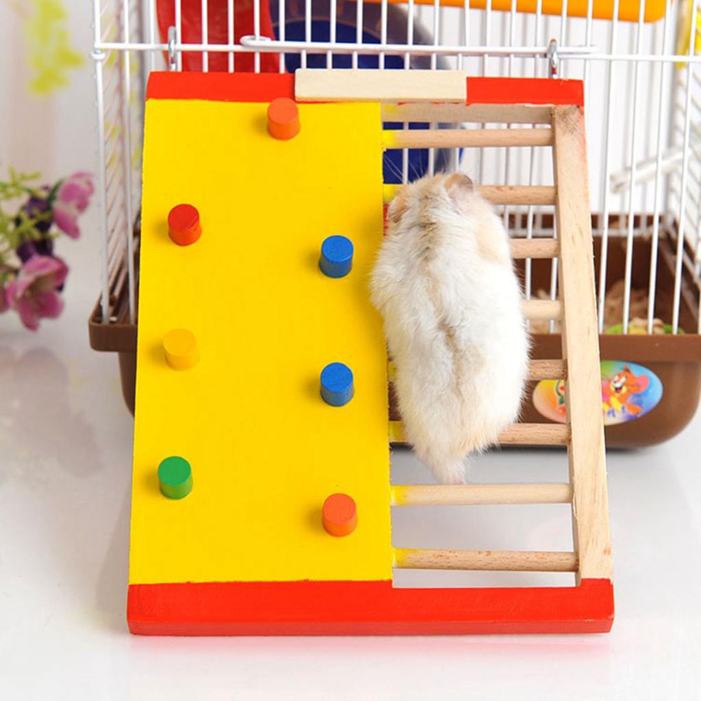 hamster wall cage