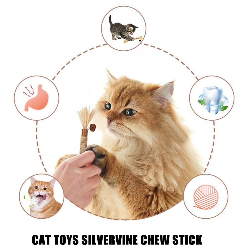 Cat Toys Cleaning Teeth Silvervine Chew Stick Pet Snacks Sticks Natural Stuff with Catnip for Kitten Catnip Teasing Chew Toys