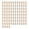 Pack of 100 Natural Seashells Charm Sea Shell Accessories for Handmade Bracelets and Necklaces Jewelry Components