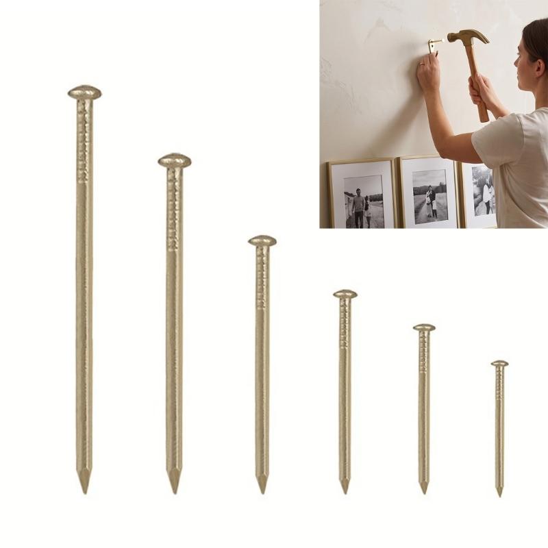 Small Hanging Nails Set for Wall Hanging, 300 Gold Tone Round Head Iron Nails in 6 Lengths with Storage Case for Daily Home Projects