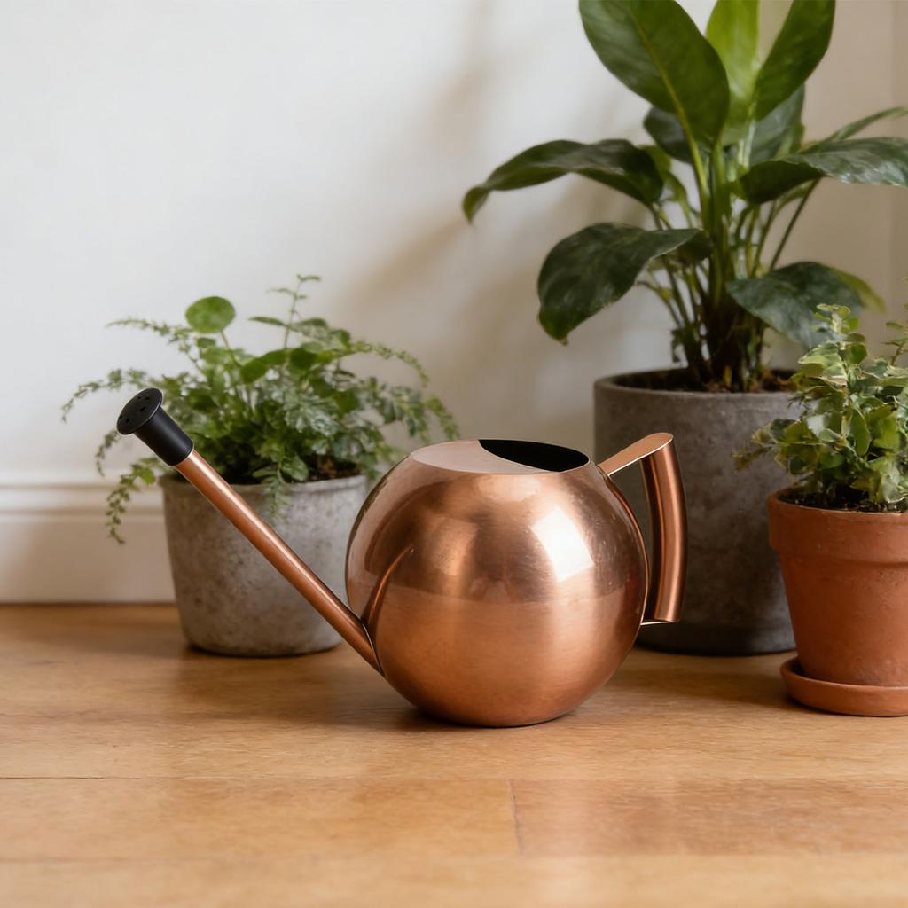 Watering Can with Spout 1000ml Stainless Steel Round Indoor Plant Watering Can with Detachable Head for Home Garden Flower