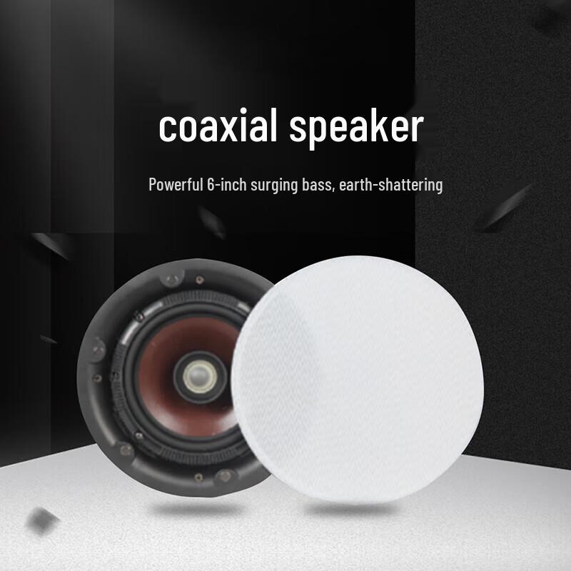 Runpu RP-XDY02 6-inch Coaxial Ceiling Speaker (CN version)