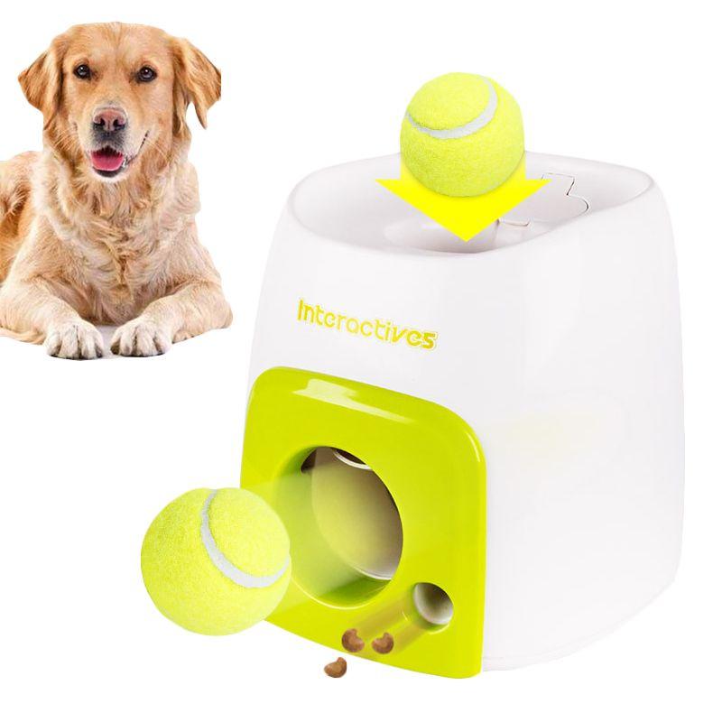 Educational Tennis Ball Hyper Game Training Machine For Active Dogs