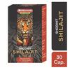 Baidyanath Asli Ayurved Shilajit Capsules For Men 30 Count Energy Vitality Supplement