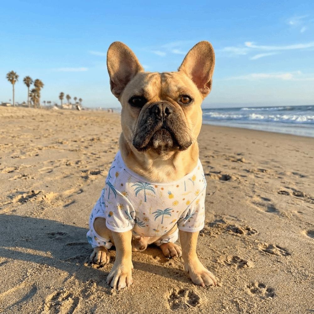 Breathable Mesh Dog Cooling Jumpsuit Cartoon Pattern Soft Four-legged Clothing Lightweight Stretchable Sun Protection Clothes