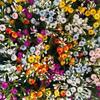1Pcs 1:12 Dollhouse Simulation Vase Flower Outdoor Diy Accessories Miniature Resin Colorful Floral Plants Potted Model