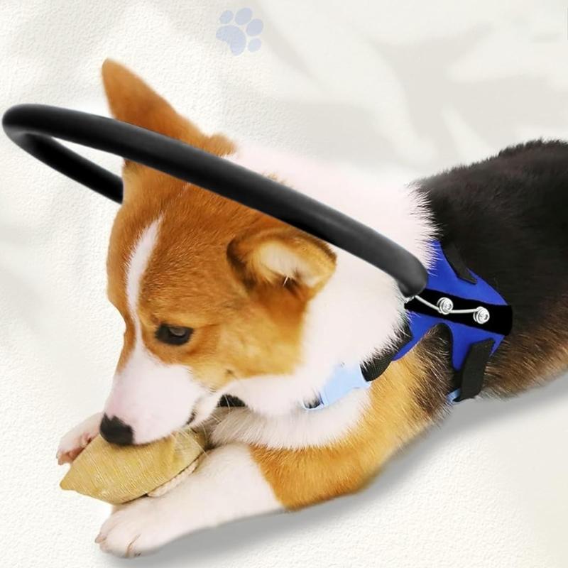 Adjustable Blind Dog Comfort Bumper Harness Featuring Attach Leash for Breathable Experience in Various Environment