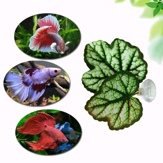 Betta Fish Leaf Pad Aquarium Decor Stress Relief Privacy Enhancing Realistic Resting Bed Hammock Simulating Habitat Easy to Clean High Simulation
