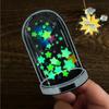 Luminous Star Sticker Pack - Creative DIY Journal Stickers for Kids