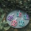 Pink Pruning Tools Blue Garden Scissors Hand Cutter Garden Pruning Shears  for Flowers Branches