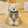 Air Force Bear Plush Toy Doll Pilot Bear Harley Locomotive Rider Teddy Bear Small Gift Craftsman Grizzly Bear