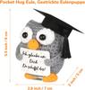 Knitted Owl Positive Gifts, Pocket Hug Owl, Encouragement Gift, Get Well Soon Gift, Lucky Charm Exam Gift, Owl Doll, Pack of 1