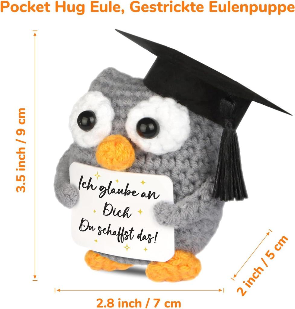 Knitted Owl Positive Gifts, Pocket Hug Owl, Encouragement Gift, Get Well Soon Gift, Lucky Charm Exam Gift, Owl Doll, Pack of 1