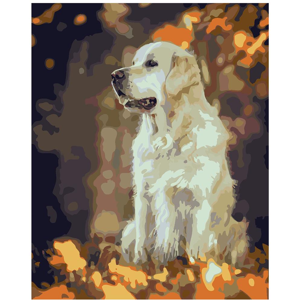 

Oil Paint By Numbers DIY For Adults Kids Beginner Home Decoration Gift 40CMX50CM Dog Framless