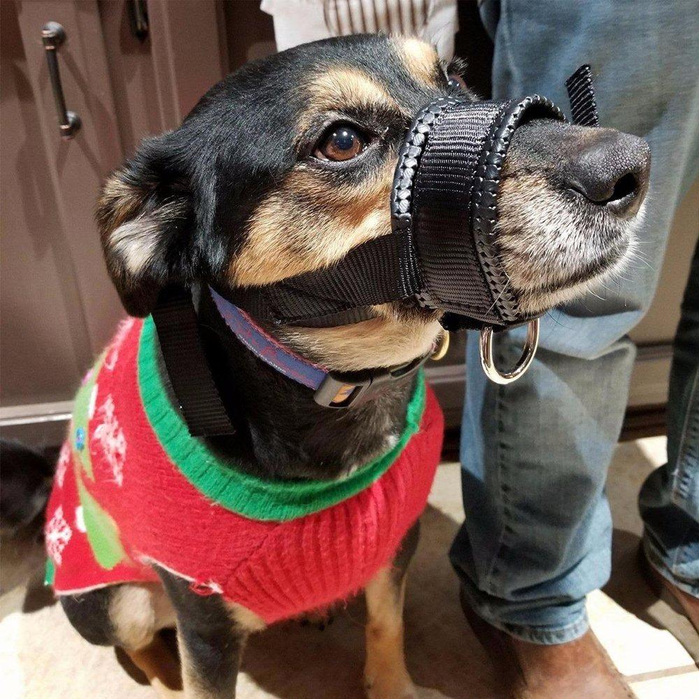 Große Hunde Anti-Bellen Anti-Beißen Sanfte Haustiermundmaske Hundeschnauze Halter Leine Halsband Schnauze